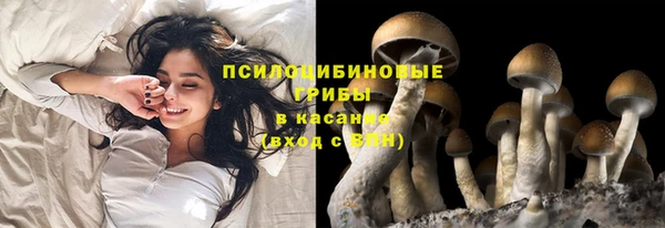прущая мука Волоколамск