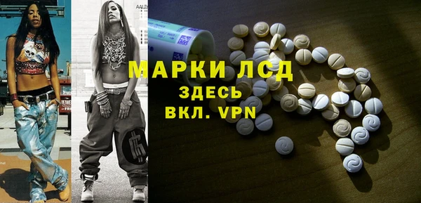 гашик Вяземский