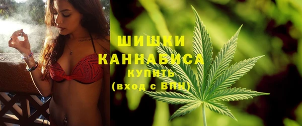 дживик Вязьма