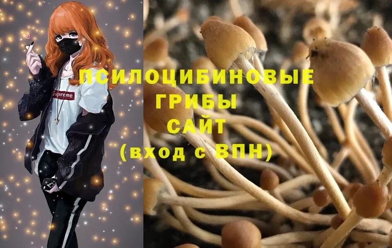 Галлюциногенные грибы Magic Shrooms  цены   Воскресенск 