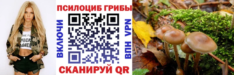 продажа наркотиков  Воскресенск  Галлюциногенные грибы Cubensis 