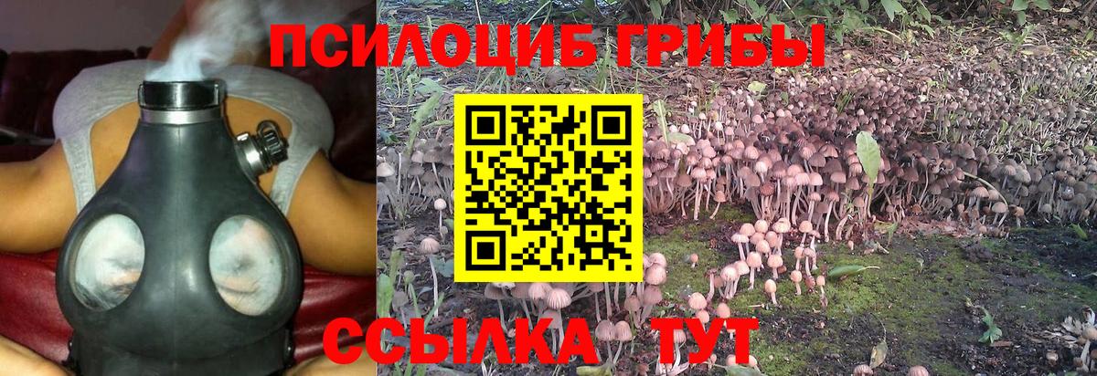 Галлюциногенные грибы MAGIC MUSHROOMS  Воскресенск  что такое наркотик  Галлюциногенные грибы прущие грибы 