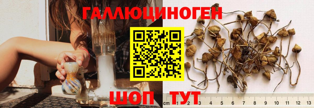 Псилоцибиновые грибы Magic Shrooms Воскресенск
