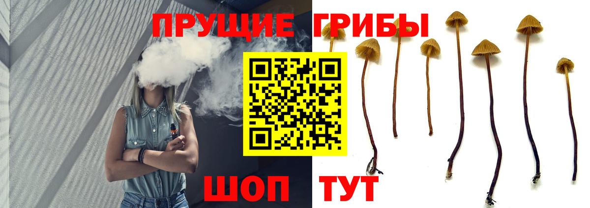 Псилоцибиновые грибы Cubensis  Вход с VPN  Псилоцибиновые грибы GOLDEN TEACHER  Воскресенск 